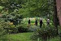8. Garden stroll